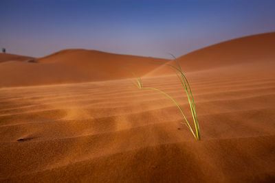Close-up of sand dune in desert against clear sky