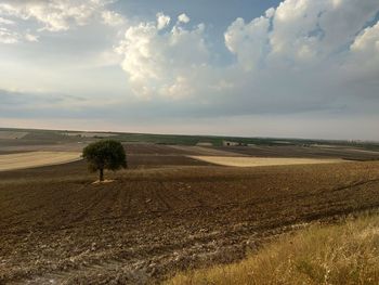 Scenic view of agricultural field against sky