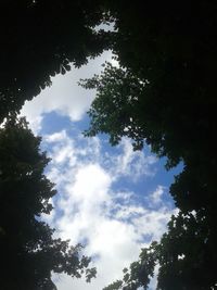 Low angle view of silhouette trees against sky