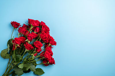 Close-up of red rose against blue background