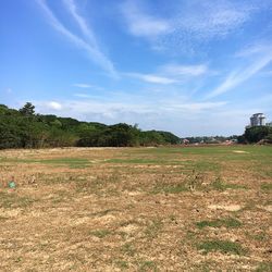 Scenic view of field against sky