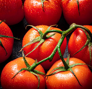 Close-up of tomatoes
