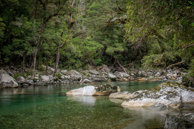 River flowing through rocks in forest