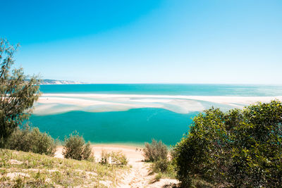 Scenic view of sea against clear blue sky