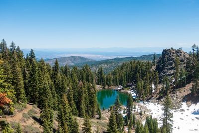 Panoramic view of pine trees by lake against sky