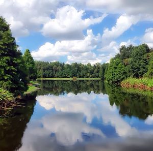 Reflection of trees in calm lake