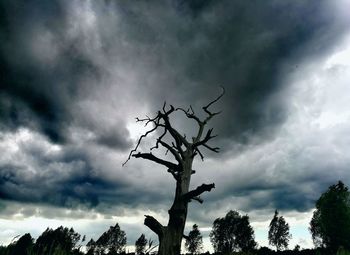 Low angle view of bare trees against cloudy sky