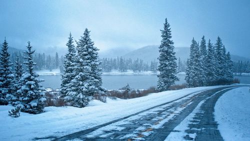 Snow covered land and trees against sky