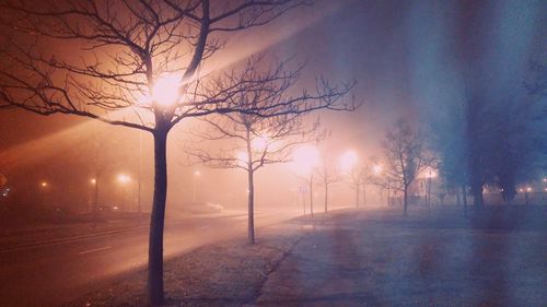 Trees on snow covered road during sunset