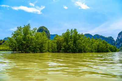 Trees by lake against sky