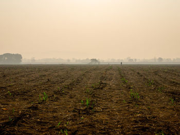 Scenic view of field against sky during foggy weather