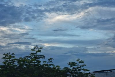 sky