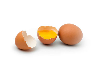 Close-up of orange eggs against white background