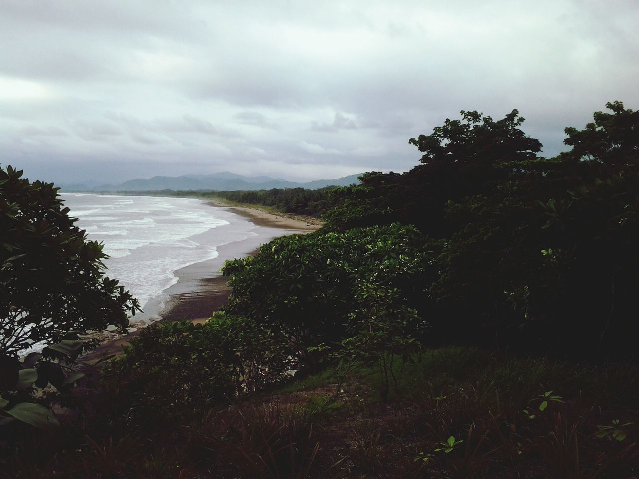 sky, tree, tranquil scene, tranquility, scenics, water, cloud - sky, beauty in nature, nature, sea, growth, beach, cloudy, cloud, plant, horizon over water, idyllic, day, landscape, shore