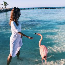 Young woman feeding flamingo while standing in sea