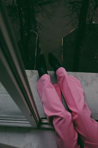 Close-up of woman with pink umbrella against plants