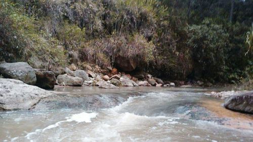 Stream flowing through rocks in forest