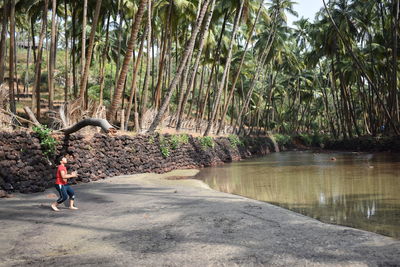 Rear view of boy walking by plants