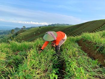 Man working on field against sky