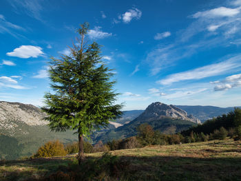 mountain