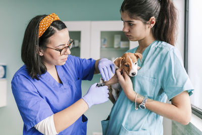 Mid adult woman holding dog