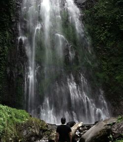 Scenic view of waterfall in forest