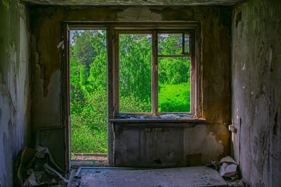 window
