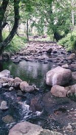 Scenic view of rocks in water