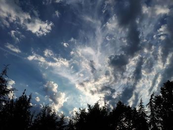 Low angle view of silhouette trees against sky