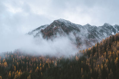 Panoramic view of trees and mountains against sky