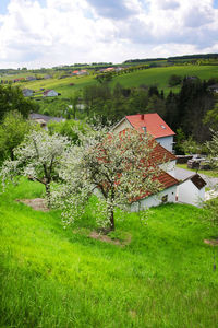 Scenic view of grassy field against cloudy sky