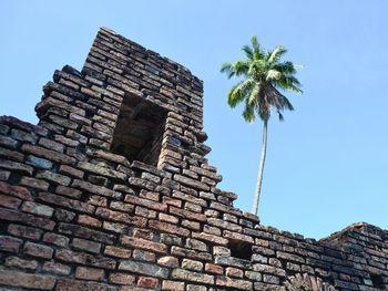 Low angle view of palm tree against clear sky