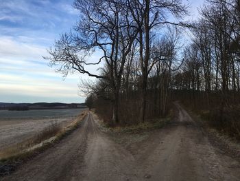 Road amidst bare trees against sky