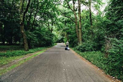 Rear view of man walking on road amidst trees