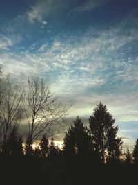 Silhouette trees against sky during sunset