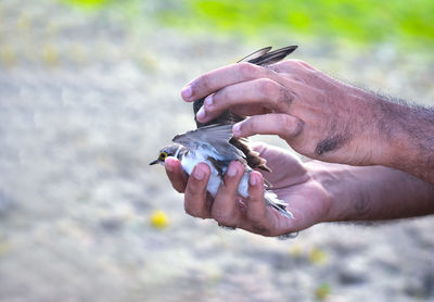 Midsection of man holding leaf