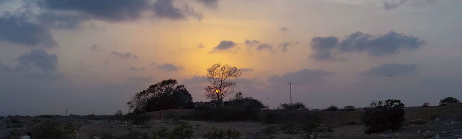 Silhouette trees on field against sky at sunset