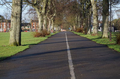 Road amidst trees against sky