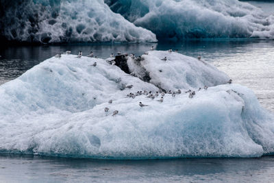 Scenic view of frozen sea