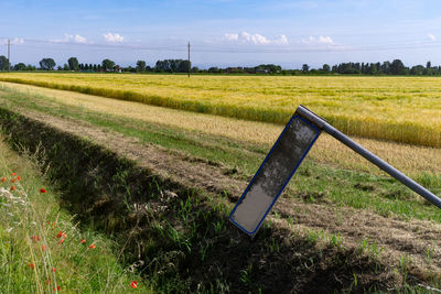 Scenic view of agricultural field