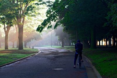 Rear view of man walking on road amidst trees in yoyogi park in tokyo japan 