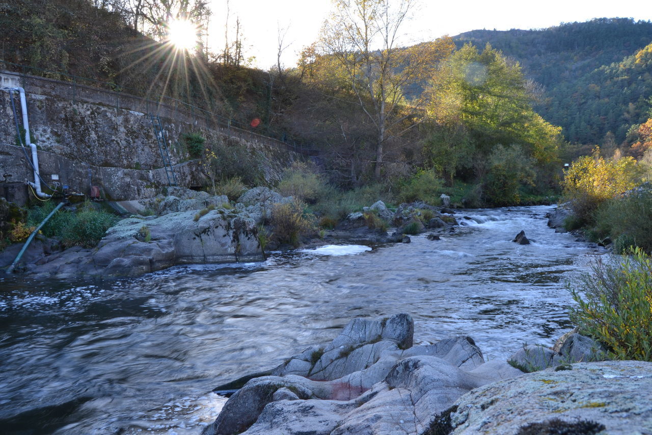 SCENIC VIEW OF RIVER STREAM AMIDST TREES IN FOREST