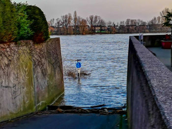 Seagull on a lake