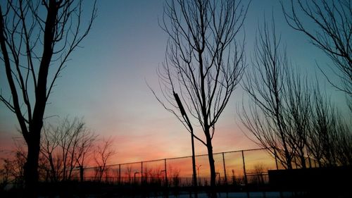 Silhouette bare trees against sky at sunset