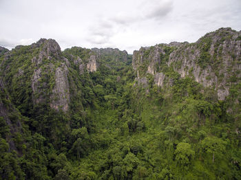 Scenic view of trees and mountains against sky