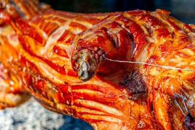 Close-up of crab on barbecue grill