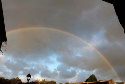 Low angle view of rainbow over trees