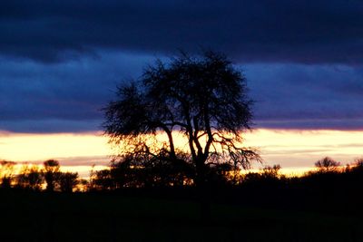 Silhouette trees on field against sky at sunset