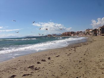 Birds flying over beach against sky