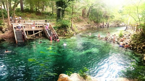 Scenic view of river in forest